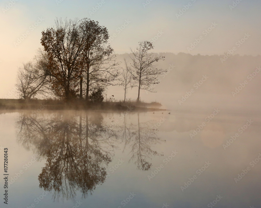 Fototapeta premium foggy tree reflections