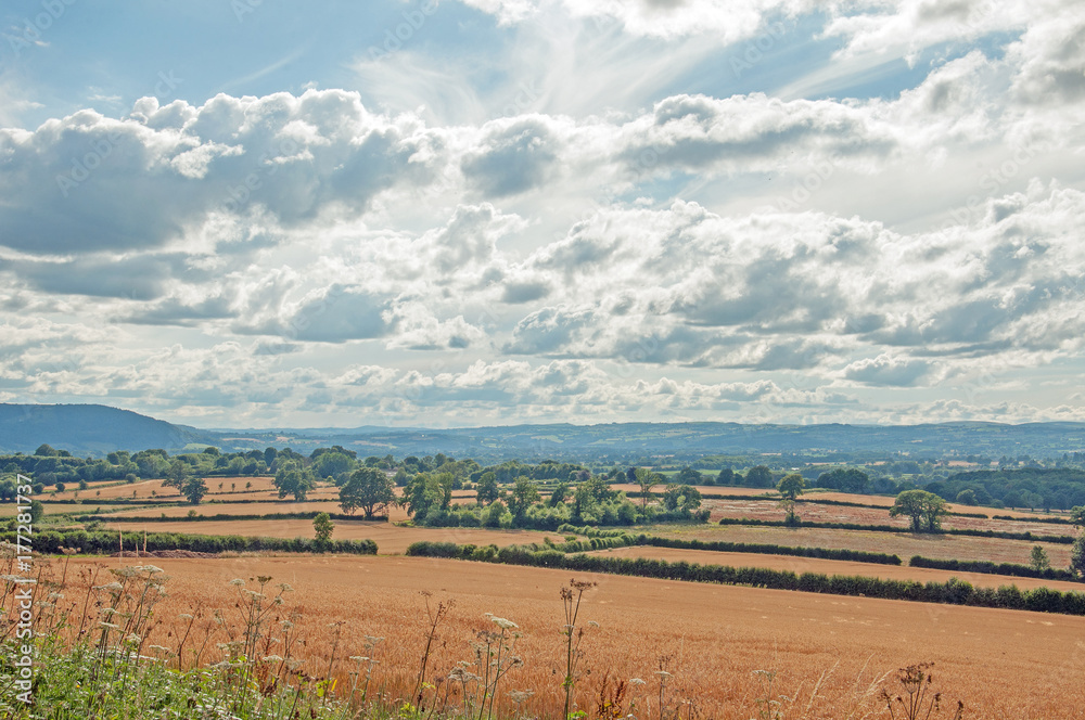 Summertime landscape in the English countryside.