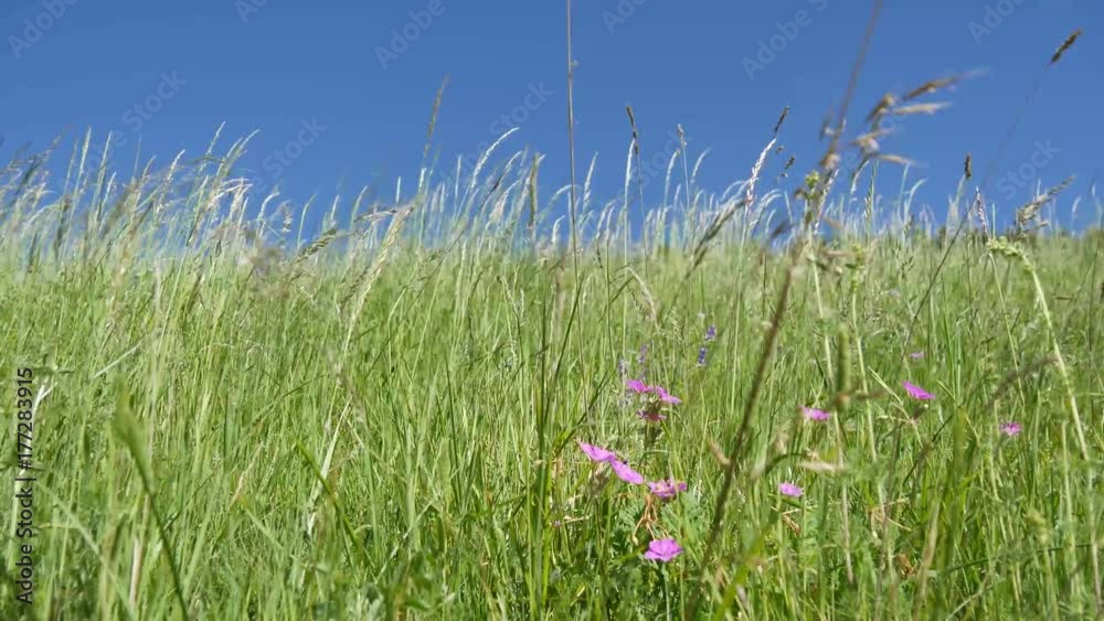 Monti Sibillini con il vento