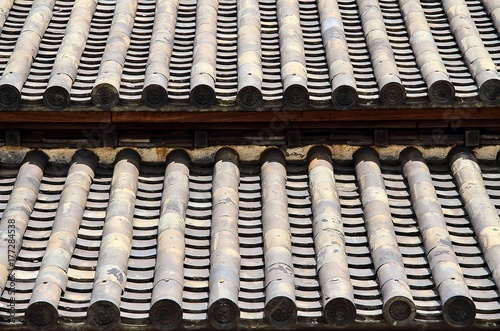 Japanese Temple Roof Detail