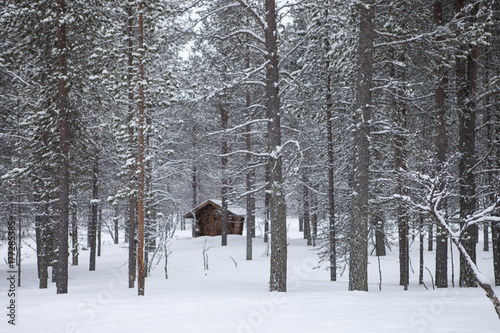 Cabane dans une forêt enneigée en Laponie