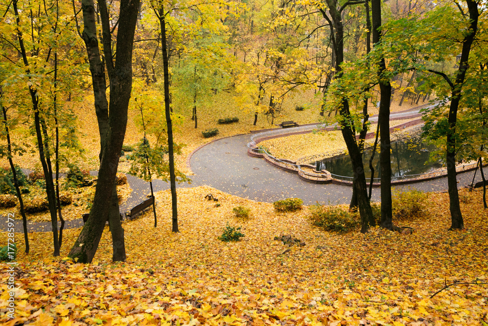 beautiful golden autumn in the city park beautiful golden autumn in the city park