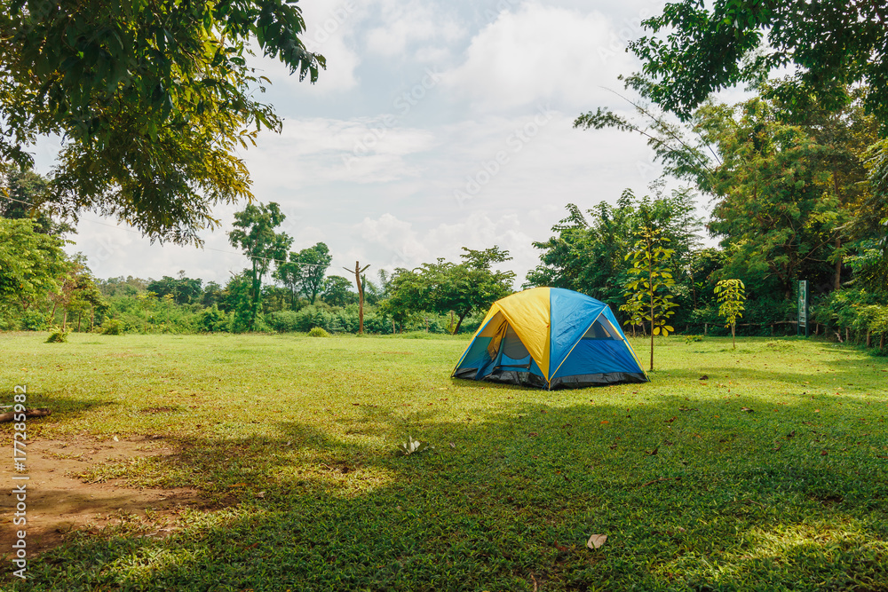 Fototapeta premium Tourist camping tent in the lawn green grass