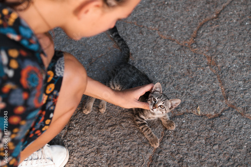 Canvas Print A girl is stroking in the street a beautiful homeless cat