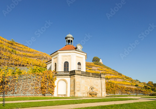 Radebeul mit Schloss Wackerbarth und Jacobstein in den Weinbergen im Herbst photo