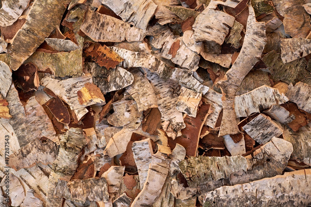 Pieces of dry birch bark StockFoto Adobe Stock