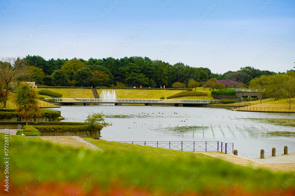 Beautiful Japanese garden with pond in Tokyo, Japan.