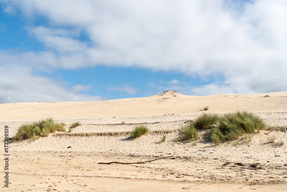 Dune du Pyla (Bassin d'Arcachon, France)