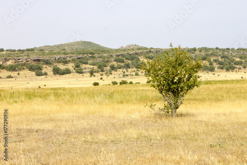 The Sierra de Caldereros a low mountain range in Campillo de Duenas, Guadalajara, Spain photo