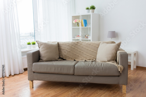 sofa with cushions at cozy home living room © Syda Productions