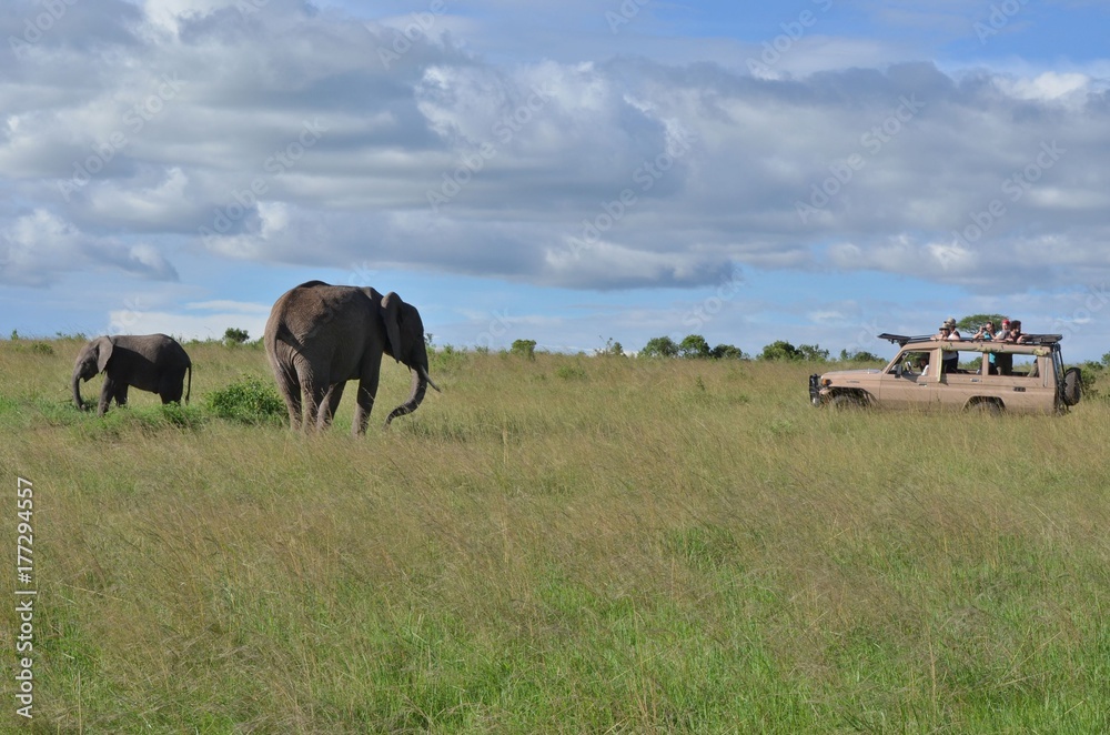 éléphant et éléphanteau d'Afrique face à une voiture 4X4 dans la savane du Parc Masaï Mara au Kenya