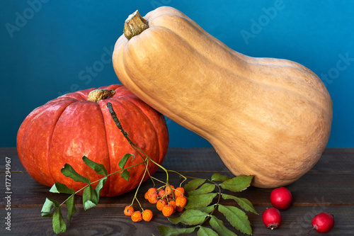 pumpkins and ashberry on a wooden table photo