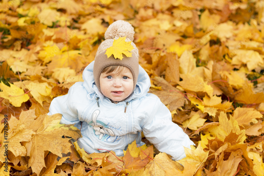 Cute baby boy playing in autumn park. Funny kid sitting among yellow leaves. Adorable toddler with oak and maple leaf. Fall foliage. Autumn concept Cute baby boy playing in autumn park. Funny kid sitting among yellow leaves. Adorable toddler with oak and maple leaf. Fall foliage. Autumn concept