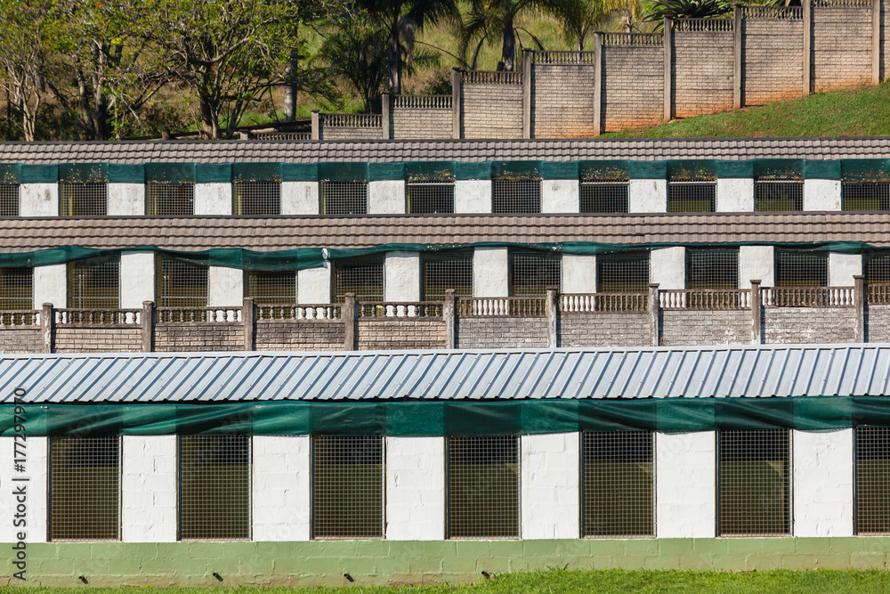 Dog Holding Kennels holding pens in countryside  for animals