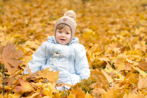 Cute baby boy playing in autumn park. Funny kid sitting among yellow leaves. Adorable toddler with oak and maple leaf. Fall foliage. Autumn concept