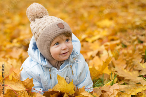 Cute baby boy playing in autumn park. Funny kid sitting among yellow leaves. Adorable toddler with oak and maple leaf. Fall foliage. Autumn concept