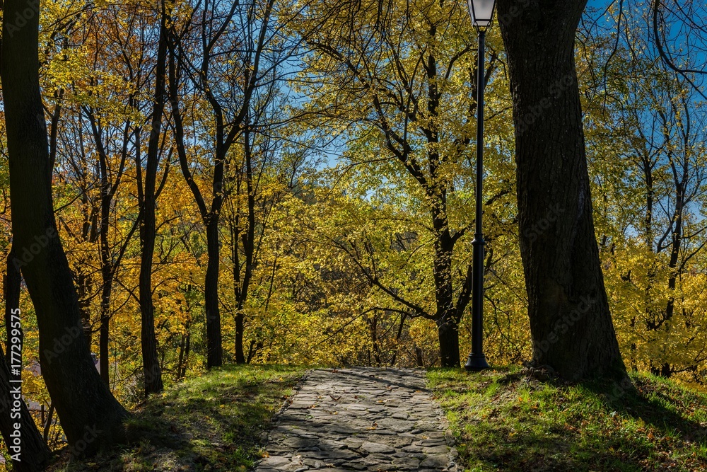 Fototapeta premium Przemyśl,park. jesień