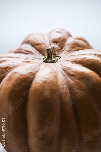 Pumpkins isolated on white background photo