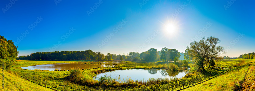 Beautiful landscape with ponds, meadows and bright sun