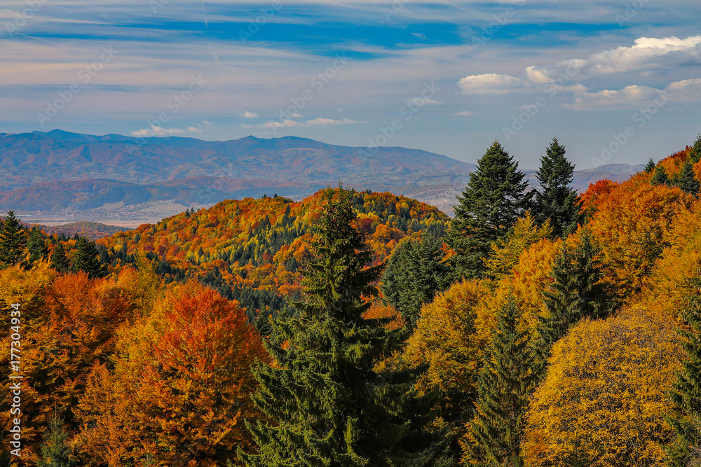 Autumn fall Autumn fall
