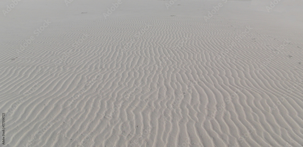 Obraz premium Background texture of sand.