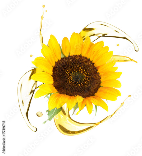 Fototapeta Naklejka Na Ścianę i Meble -  Sunflower and cooking oil splashes on white background