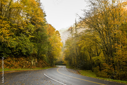 Morning Drive In The Smokies