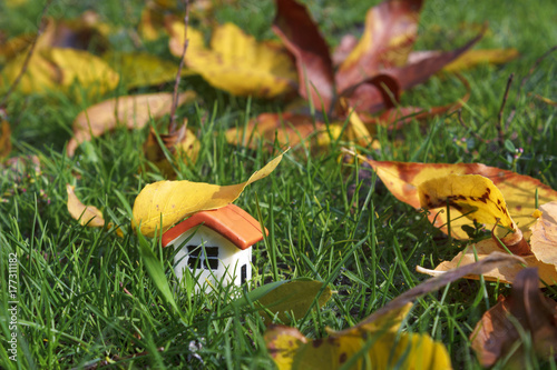 Wallpaper Mural puppet house on green grass under autumn yellow leaf Torontodigital.ca