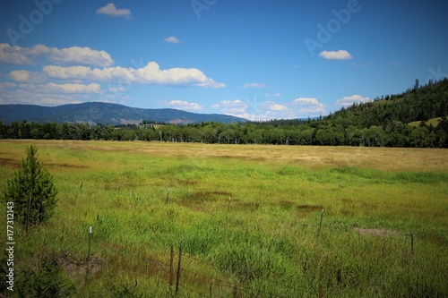 Grass field and hills/nature/landscape