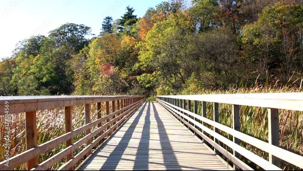 Boardwalk on Grandstone Marsh Trail in Royal Botanical Gardens, Burlington, Ontario, Canada in autumn