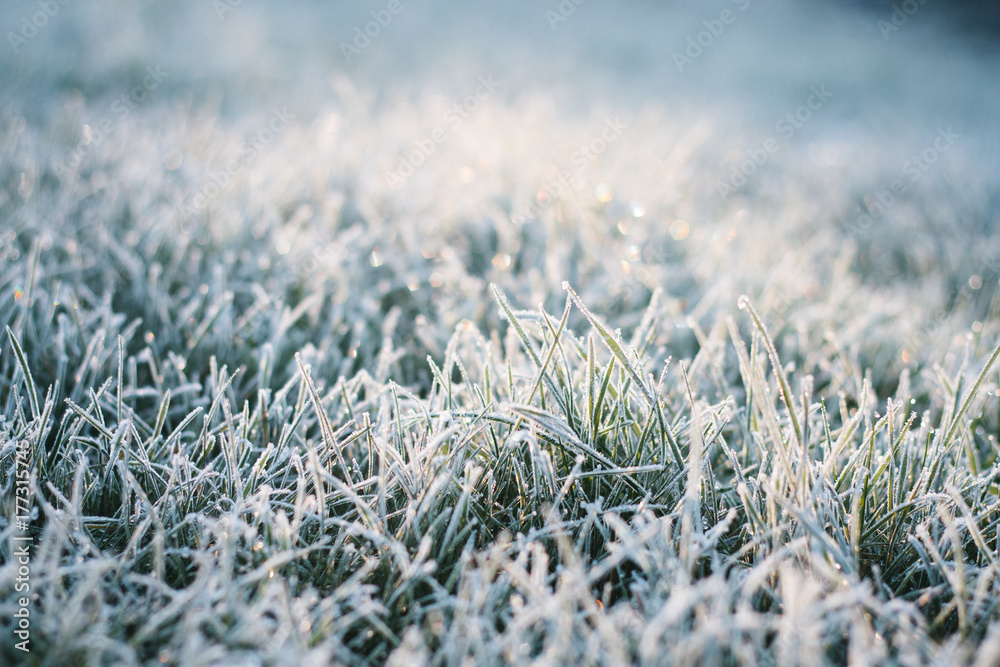 Frost Frost