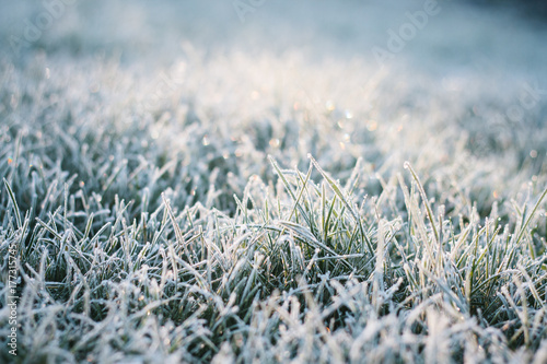 Frost