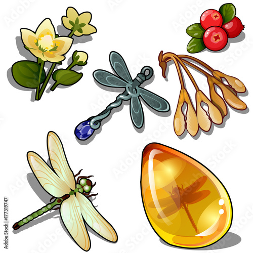 Keychain dragonfly, insect amber, flower and red berry. Natural set os six icons isolated on white background. Vector illustration in cartoon style