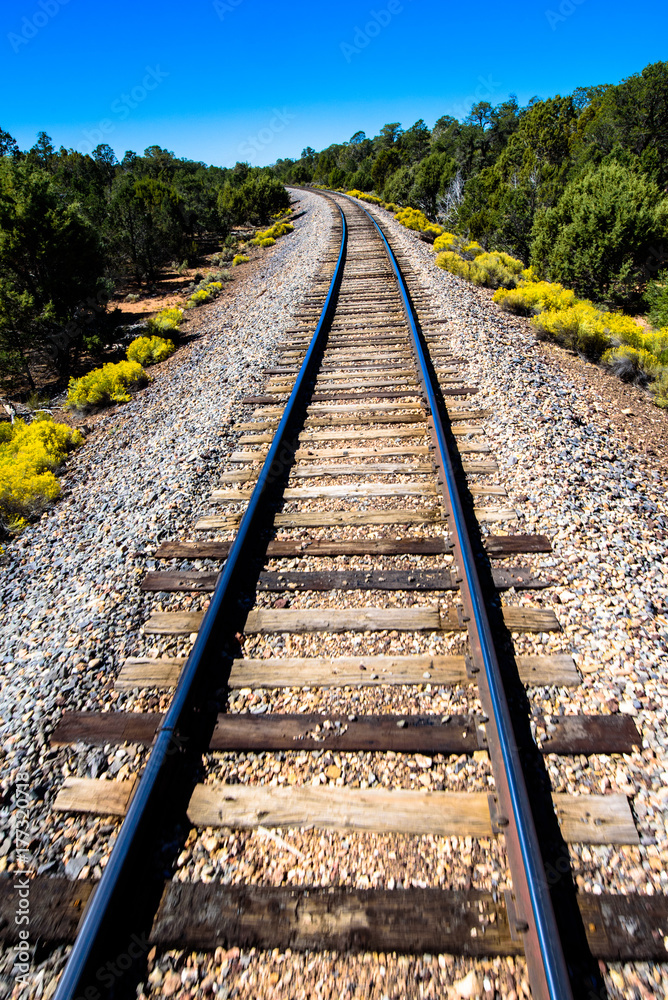 Fototapeta premium Railway