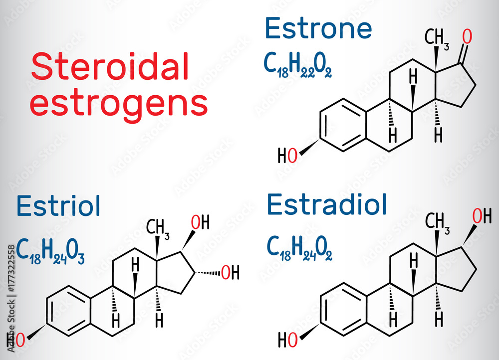 Obraz premium Chemical formulas of steroidal estrogens: estradiol, estriol, estrone
