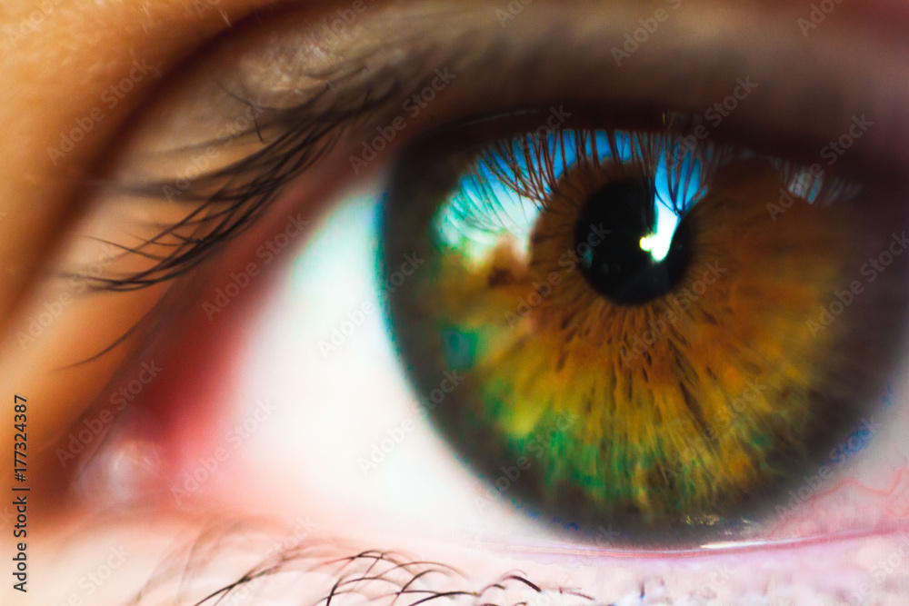 Naklejka premium Macro human eye