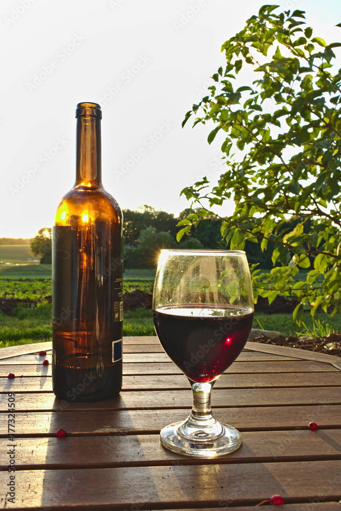 Glass of red wine with bottle and red berries on wooden table with green fields, bush and sunset in the background