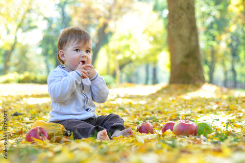 Baby sit on yellow leaves in park. Happy child in autumn park with apples