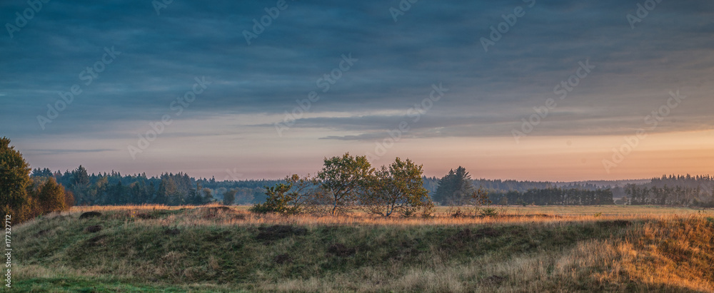 Foto Morning light