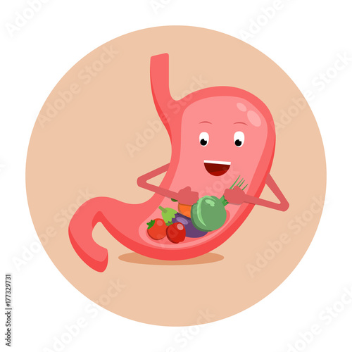 Strong healthy happy stomach character with vegetables. Vector flat cartoon illustration icon design. Isolated on white background. Healthy food nutrition