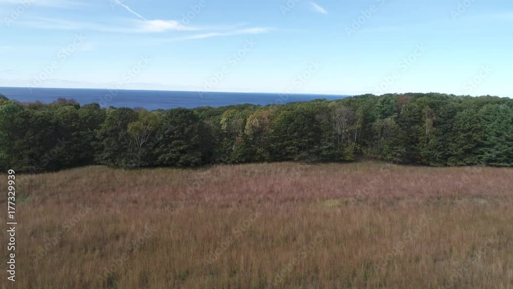 Field of little bluestem grass overlooking lake michigan Field of little bluestem grass overlooking lake michigan