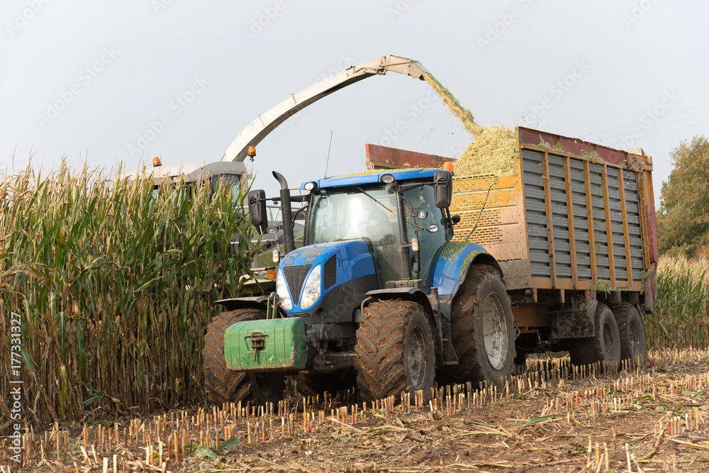 Obraz premium Tractor with loader wagon at corn harvest - 0793