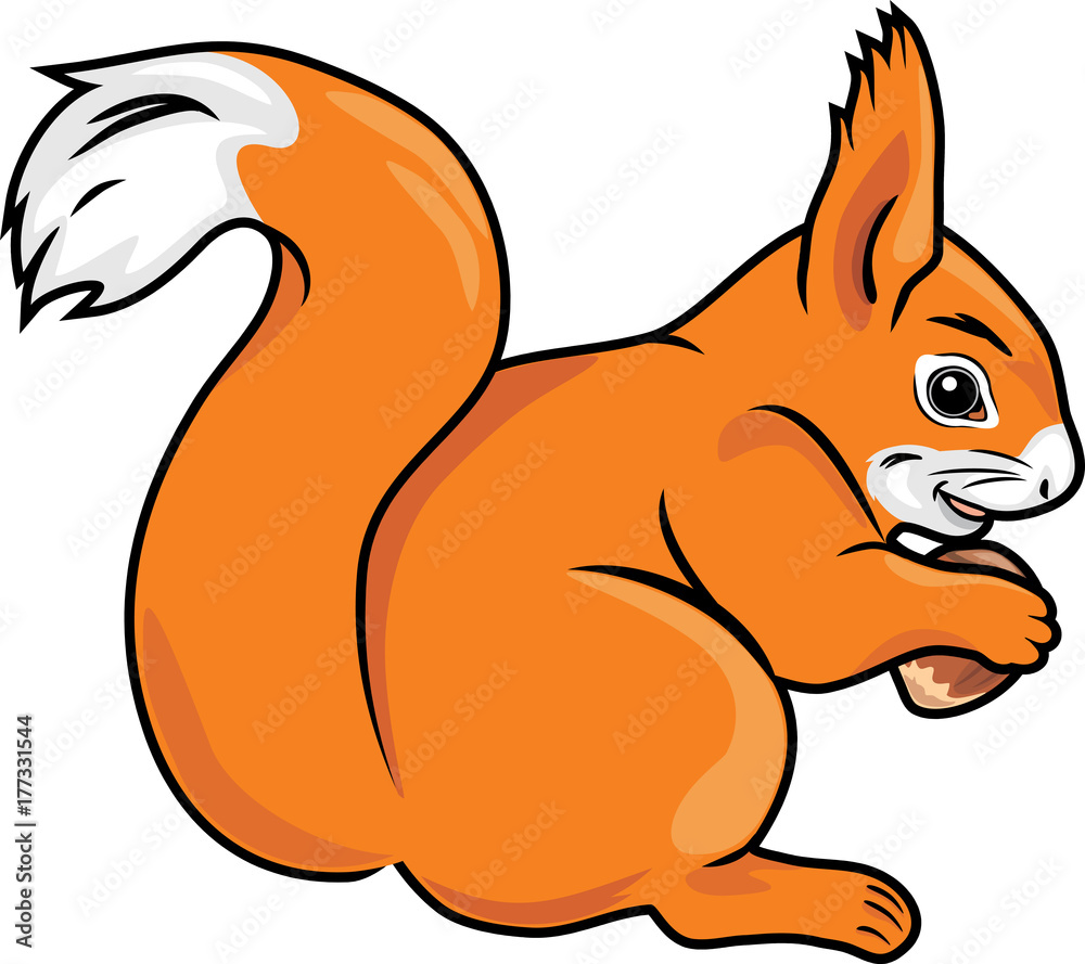 Squirrel with a nut Squirrel with a nut