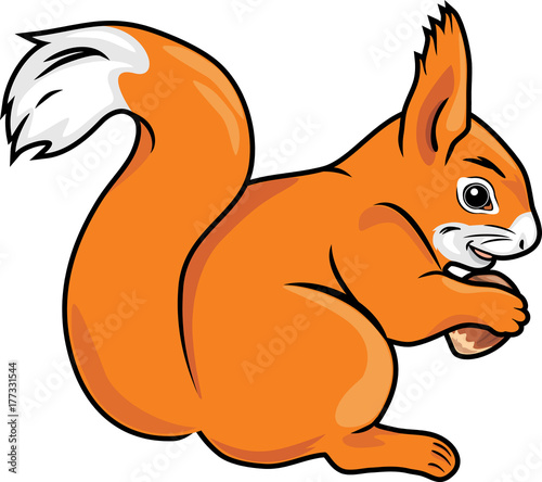Squirrel with a nut