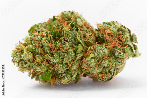 Close up of prescription medical marijuana strain AK47 flower on white background