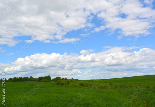 beautiful natural landscape  green field and blue sky with white clouds sunny day  nature