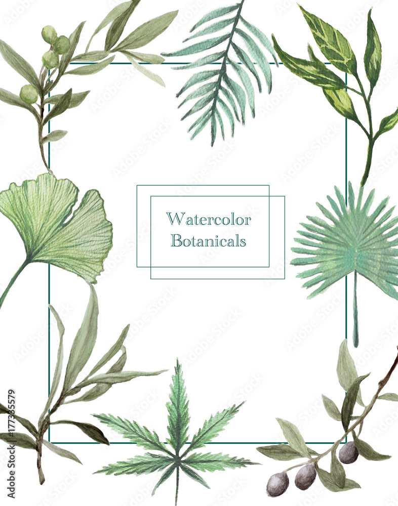 Watercolor Botanicals