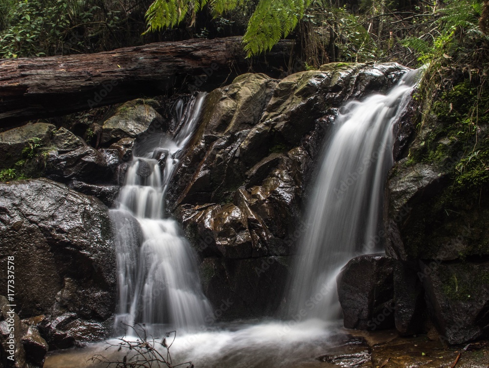 Fototapeta premium Silky waterfall
