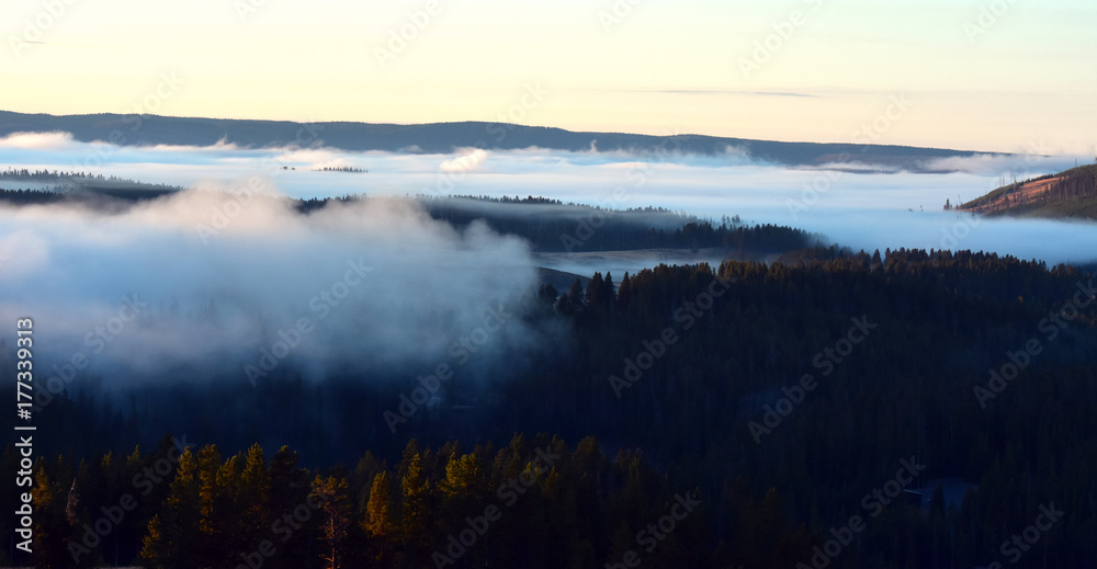 Misty Foggy Forest Sunrise 