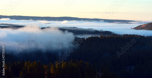 Fototapeta Naklejka Na Ścianę i Meble -  Misty Foggy Forest Sunrise 